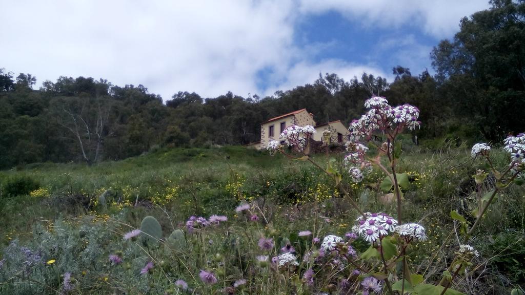 Casa Rural Las Caldereras Teror Exterior foto